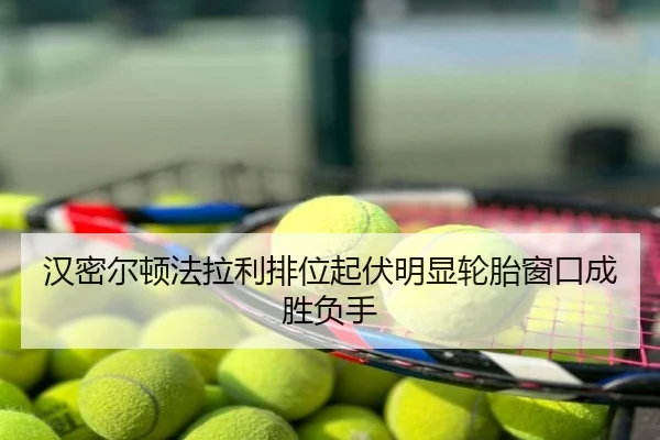 汉密尔顿法拉利排位起伏明显轮胎窗口成胜负手